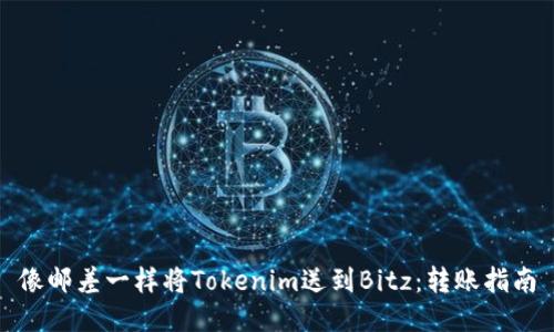 像邮差一样将Tokenim送到Bitz：转账指南