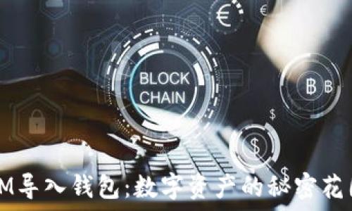   
IM导入钱包：数字资产的秘密花园