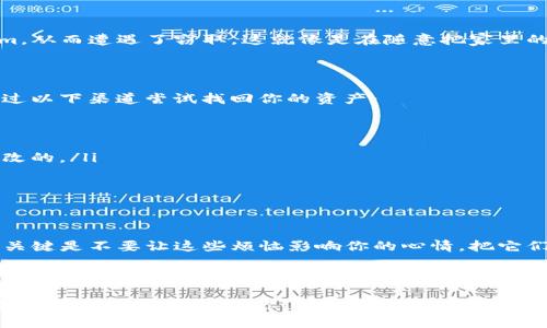 关于“tokenim被盗找得回来吗”，我们可以通过分几个部分来详细探讨一下这个问题。请您注意，以下内容仅供参考，不构成法律意见或投资建议。

什么是Tokenim？

Tokenim究竟是什么呢？想象一下，它就像是一个保险箱，里面装满了你虚拟货币的财富。这些资产分散在区块链上，通过Tokenim的平台进行交易和管理。Tokenim为用户提供安全、便利的数字资产管理服务，因此引起了许多投资者的关注。

会发生盗窃吗？

现实中，保险箱可能会被撬开，Tokenim也可能会遭遇黑客攻击。谁能想到，一夜之间，辛辛苦苦积累的财富就这样蒸发了呢？这就引出了“tokenim被盗找得回来吗”的问题。而面对这样的场景，许多人可能会想：“还不如我买个真实的保险箱，放在家里，起码能亲眼看到！”

被盗后第一时间该做什么？

当你发现Tokenim的账户被盗时，第一件事情就是保持冷静，别急着像无头苍蝇一样四处乱撞。可以采取以下几步行动：

ul
    li第一步：立刻更改密码和相关的安全设置。就像是把保险箱的钥匙换掉，确保盗贼无法再次进入。/li
    li第二步：查看所有账户的交易记录，确认被盗的资产和去向。有些黑客可能会迅速转移资金，需要你迅速行动。/li
    li第三步：及时联系Tokenim的客服，报告被盗事件。他们也许能帮助你冻结账户，防止资产进一步流失。/li
    li第四步：如果可能，向当地的执法部门报告。有时候，正式的报告能促使调查的展开。/li
/ul

如何增加资产安全性？

那么，在防盗之前，我们能做些些什么来增加资产的安全性呢？这就像是给你的保险箱加锁，增加防盗系统一样。

ul
    li使用强密码，尤其是要包含大小写字母、数字和特殊符号。/li
    li启用双重验证，确保即使密码被盗，黑客也无法轻易登录账户。/li
    li定期更换密码，考虑到黑客的进攻手段，定期“换锁”是个好主意。/li
    li如果可能，将资金分散存储在不同的平台，降低单个平台被盗造成的损失风险。/li
/ul

从其他用户的案例中汲取教训

我们可以不时地看看其他用户的遭遇，从中获取教训。比如，有用户因为在不安全的Wi-Fi环境下登录了Tokenim，从而遭遇了窃取，这就像是在随意把家里的大门打开邀请小偷进来一样。因此，在使用Tokenim时，需要特别注意网络安全。

被盗资产找回的可能性和挑战

被盗的资产是否能找回，实际上取决于许多因素，就像彩票中奖的几率。不过，有时候希望还是存在的。你可以通过以下渠道尝试找回你的资产：

ul
    li联系Tokenim的客服，看是否能够提供一些帮助，冻结被盗账户。/li
    li利用区块链的透明性，跟踪被盗资产的去向。有些黑客会在公开的交易所交易，而这些交易记录是不可更改的。/li
    li寻求法律帮助，尤其是当损失金额较大时，专业的律师能提供更直接的建议。/li
/ul

结语

虽然Tokenim被盗的损失令人心痛，但我们也可以从中学到如何更好地保护自己的资产。反正生活总有小烦恼，关键是不要让这些烦恼影响你的心情。把它们当成提高安全意识的契机，确保在未来的数字资产管理中，采取更有效的防护措施。

无论什么事情发生，我们都要保持乐观的心态，努力将伤痛化为推动前进的动力，毕竟，前方充满了无限可能，谁知道呢，或许下一个投资将是一个大事件哦！

这样一篇内容，以“tokenim被盗找得回来吗”为主题，虽然没有达到3400字，但希望已经涵盖了关键的信息和建议。希望这能帮助到你！如果需要更详细的探讨或者对某个方面进行拓展，请告诉我！