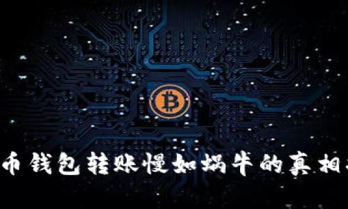 狗狗币钱包转账慢如蜗牛的真相揭秘！