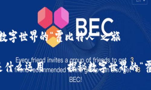 区块链技术：数字世界的“霍比特人”之旅

区块链技术是什么运用——探秘数字世界的“霍比特人”之旅