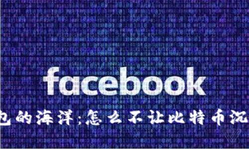 钱包的海洋：怎么不让比特币沉底？