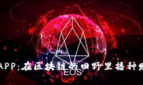 麦子钱包APP：在区块链的田野里播种财富的种子