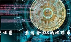 把比特币装进口袋——最