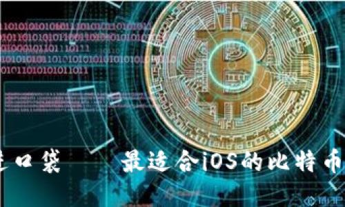 把比特币装进口袋——最适合iOS的比特币钱包APP推荐