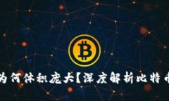 : 比特币官方钱包为何体积