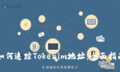 如何追踪Tokenim地址：全面