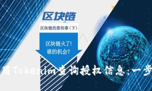 如何使用Tokenim查询授权信息：一步步指南