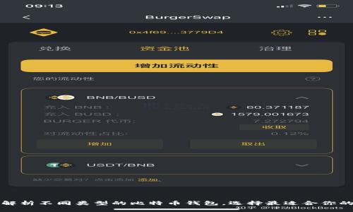 深入解析不同类型的比特币钱包，选择最适合你的方案