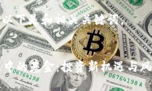 注意: 以下是和相关关键词。

:
区块链中的基金：投资新机遇与风险分析