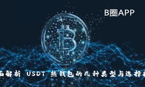 全面解析 USDT 热钱包的几种类型与选择指南