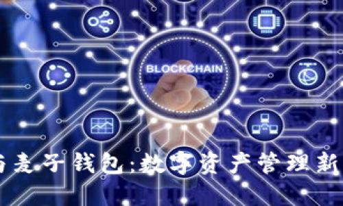 IM与麦子钱包：数字资产管理新选择