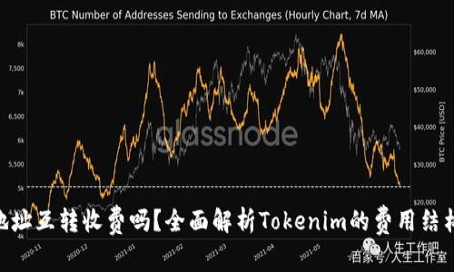 : Tokenim地址互转收费吗？全面解析Tokenim的费用结构和使用指南