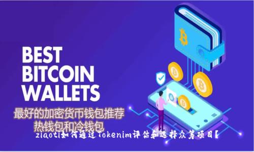 ziaoti如何通过Tokenim评估和选择众筹项目？