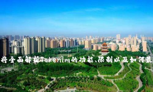 关于“Tokenim”是否只能添加一百个币种的问题，本文将全面解析Tokenim的功能、限制以及如何最佳利用该平台。首先，我们先来看一下相关的和关键词。

Tokenim：添加币种数量限制及其破解策略