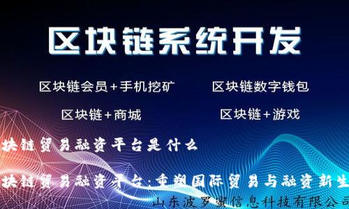 区块链贸易融资平台是什么

区块链贸易融资平台：重塑国际贸易与融资新生态