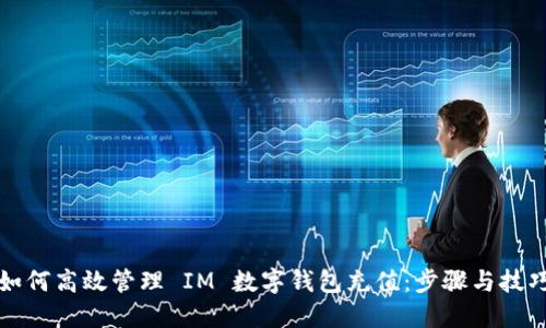 如何高效管理 IM 数字钱包充值：步骤与技巧