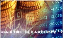 Tokenim项目概述：币安链上