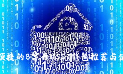 最安全便捷的B字母USDT钱包推荐与使用指南