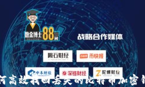 
如何高效找回丢失的比特币加密钱包