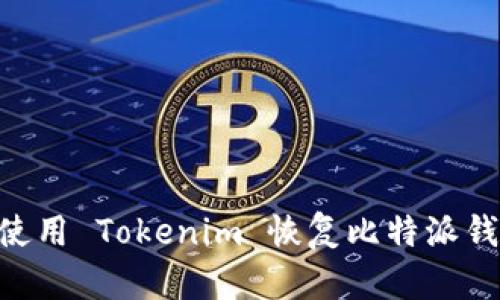 ### 如何使用 Tokenim 恢复比特派钱包：详细指南
