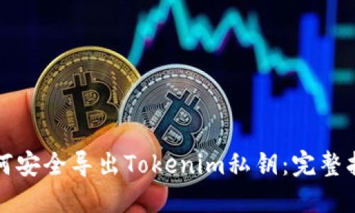 如何安全导出Tokenim私钥：完整指南