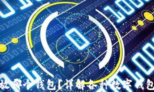 
USDT的U放哪个钱包？详解各种数字钱包的优缺点