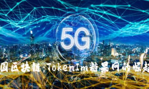 深入探讨外国区块链：TokenIm糖果网的崛起与未来展望