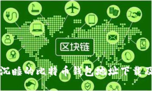 如何获取沉睡的比特币钱包地址下载及相关指南