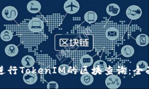 如何进行TokenIM的区块查询：全面指南