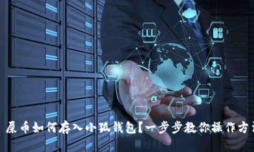 : 屎币如何存入小狐钱包？一步步教你操作方法