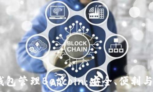   
如何使用Sol钱包管理Betcoin：安全、便利与未来趋势解析