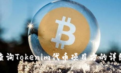 如何查询Tokenim代币项目方的详细指南
