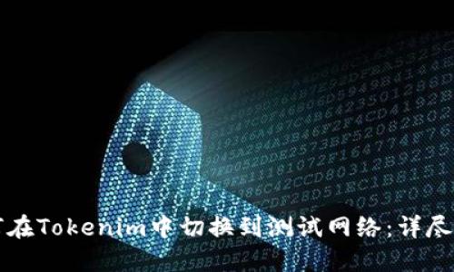 如何在Tokenim中切换到测试网络：详尽指南
