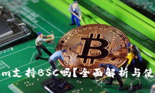 Tokenim支持BSC吗？全面解析与使用指南