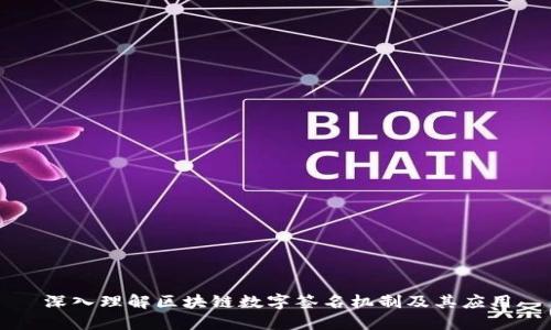 深入理解区块链数字签名机制及其应用