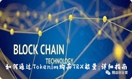 如何通过Tokenim购买TRX能量：详细指南