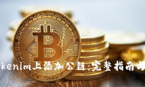 如何在Tokenim上添加公链：完整指南与注意事项