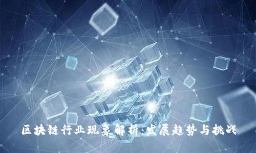 区块链行业现象解析：发展趋势与挑战