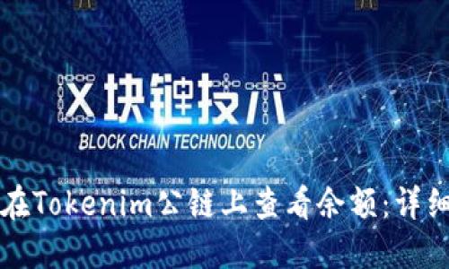 如何在Tokenim公链上查看余额：详细指南