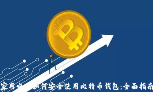 
家用电脑如何安全使用比特币钱包：全面指南