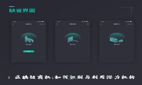 : 区块链商机:如何识别与利用潜力机构