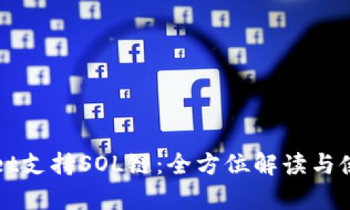 tpWallet支持SOL链：全方位解读与使用指南