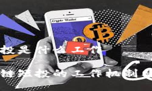 区块链短投是什么工作

探索区块链短投的工作机制与市场潜力